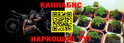круглые Лесосибирск