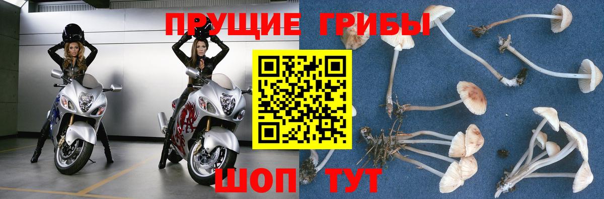 Псилоцибиновые грибы Psilocybe  Галлюциногенные грибы Cubensis  Вход с VPN  Унеча 